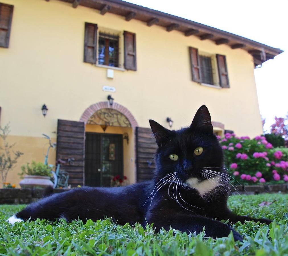 Casale La Decima Bed & Breakfast Budrio  Luaran gambar